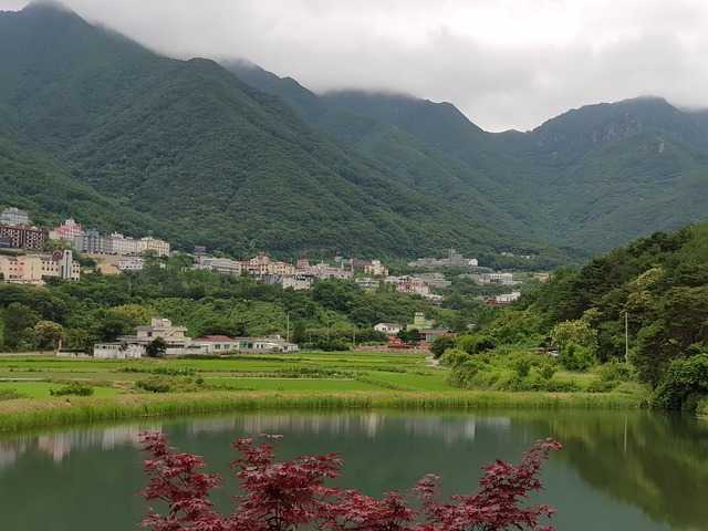 보은맛집004.jpg